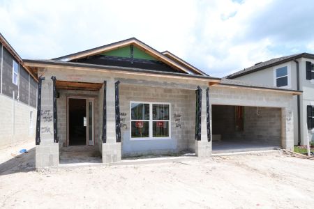 New construction Single-Family house 33227 Amling Pecan Br, Wesley Chapel, FL 33545 Newport II- photo 0