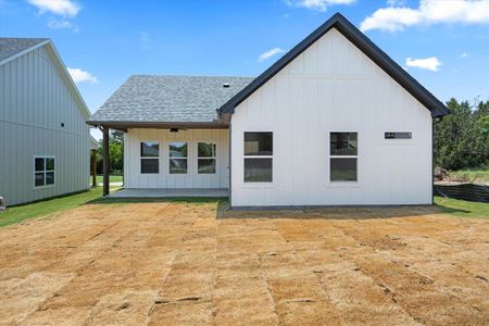 New construction Single-Family house 3228 Brazos River Drive, Granbury, TX 76048 - photo 21 21