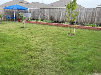 New construction Single-Family house 5913 San Geronimo, Seguin, TX 78155 - photo 12 12