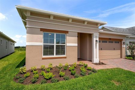 New construction Single-Family house 2705 Redblush Terrace, Saint Cloud, FL 34772 - photo 3 3
