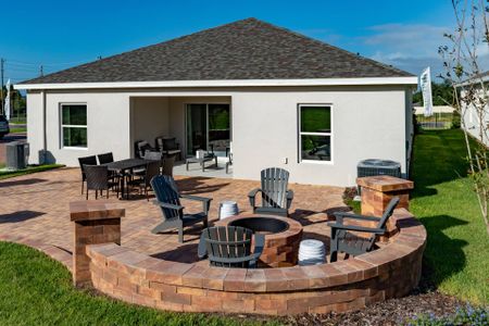 Hammock Reserve by Landsea Homes in Haines City - photo 20 20