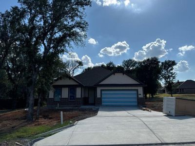 New construction Single-Family house 1320 San Marcus Drive, Springtown, TX 76082 Nueces- photo 3 3