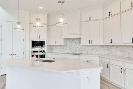 New construction Single-Family house 1204 Terrace View Drive, Georgetown, TX 78628 Signature Series - Longspur- photo 32 32