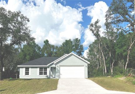 New construction Single-Family house 9274 N Citrus Springs Boulevard, Citrus Springs, FL 34434 - photo 0