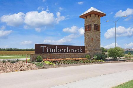Timberbrook by Impression Homes in Justin - photo 1 1