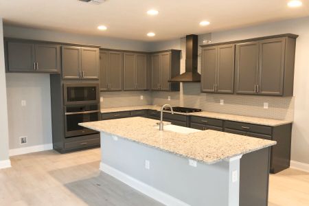 New construction Single-Family house 15883 Tollington Alley, Winter Garden, FL 34787 - photo 8 8