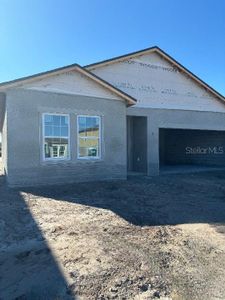 New construction Single-Family house 1379 Sterling Pointe Drive, Deltona, FL 32725 Reef Homeplan- photo