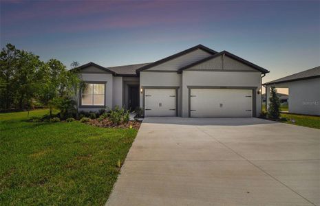New construction Single-Family house 12685 Hayes Clan Road, Riverview, FL 33579 Ashby- photo 18 18