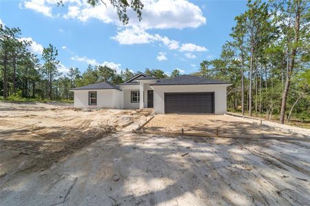 New construction Single-Family house 13359 Sw 80Th Street, Dunnellon, FL 34432 - photo 0 0
