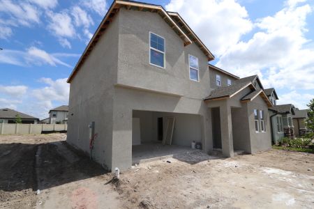 New construction Single-Family house 9358 Crescent Ray Drive, Wesley Chapel, FL 33545 Renau- photo 48 48