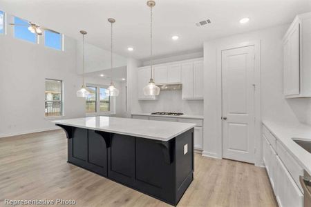 New construction Single-Family house 8118 Purple Aster Pass, Lago Vista, TX 78645 Lincoln Plan- photo 2 2