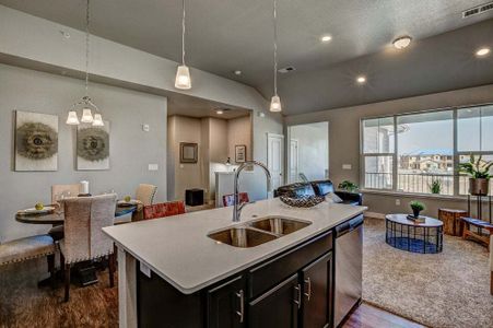 New construction Condo/Apt house 827 Schlagel Street, Fort Collins, CO 80524 - photo 28 28
