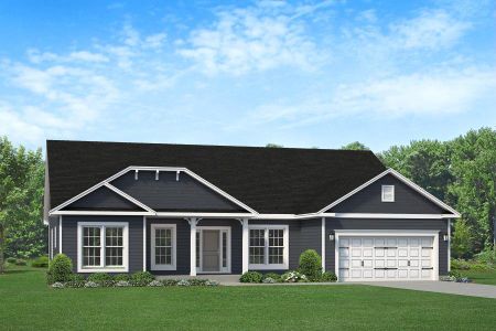 New construction Single-Family house 3040, Cool Water Drive, Bailey, NC 27807 - photo