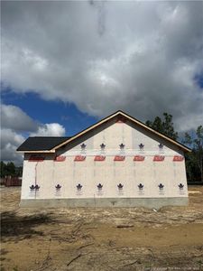 New construction Single-Family house 68 Micro Tower Road, Lillington, NC 27546 - photo 4 4