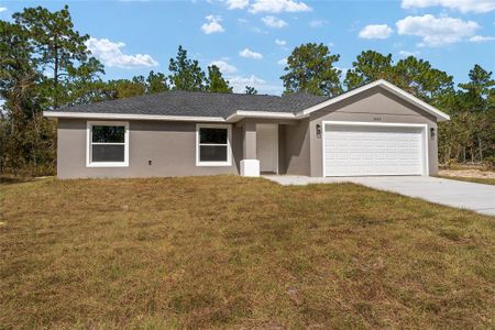 New construction Single-Family house 24053 Nw Tamarind Lane, Dunnellon, FL 34431 - photo