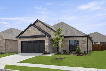 New construction Single-Family house 248 Waters Ridge, Lavon, TX 75166 South Dakota- photo 3 3