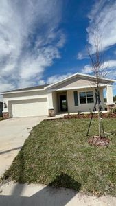 New construction Single-Family house 1204 Tyler Loop, Winter Haven, FL 33884 - photo 0