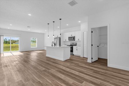 New construction Single-Family house 13820 Sw 33Rd Court Road, Ocala, FL 34473 - photo 17 17