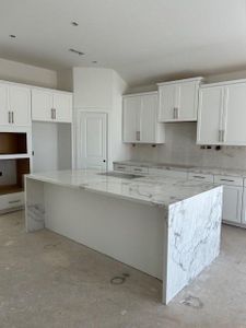New construction Single-Family house 30031 Gold Finch Place, Fulshear, TX 77441 Umbria- photo 8 8