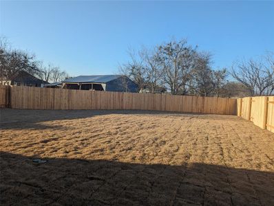 New construction Single-Family house 2001 Milano River Rd, Hutto, TX 78634 Premier Series - Oleander- photo 11 11