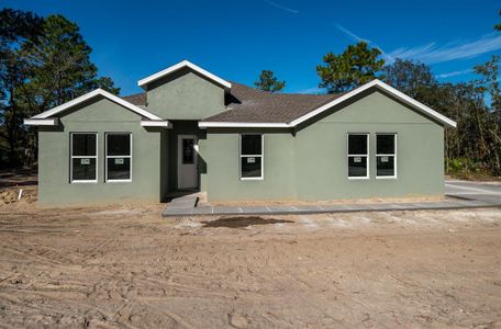 New construction Single-Family house 6098 N Peardale Terrace, Beverly Hills, FL 34465 - photo 0
