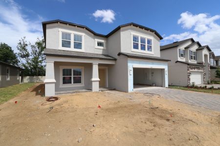 New construction Single-Family house 12114 Hilltop Farms Drive, Dade City, FL 33525 Alenza- photo 124 124