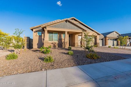 New construction Single-Family house 12269 E Chiricahua Place, Gold Canyon, AZ 85118 - photo 63 63