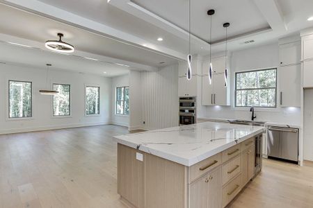 New construction Single-Family house 2961 Tree Top Road, Dacula, GA 30019 - photo 15 15