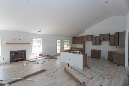 New construction Single-Family house 2470 Cross Plains Hueltt Road, Carrollton, GA 30116 - photo 18 18