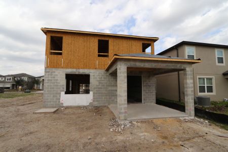 New construction Single-Family house 2463 Sunny Pebble Loop, Zephyrhills, FL 33540 Castellana- photo 19 19