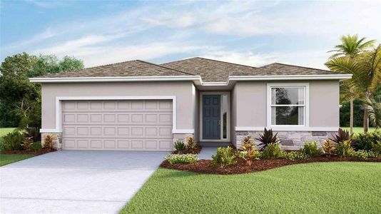 New construction Single-Family house 350 Mangrove Manor Drive, Apollo Beach, FL 33572 - photo 0