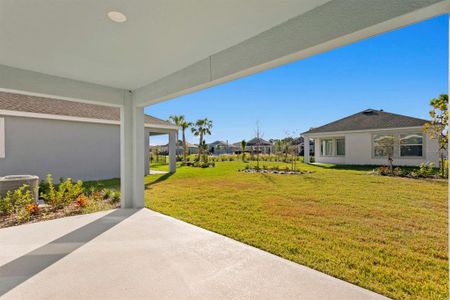New construction Single-Family house 6255 Roadstead Court, Apollo Beach, FL 33572 - photo 33