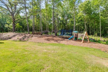 New construction Single-Family house 1820 Georgia 16, Whitesburg, GA 30185 - photo 42 42