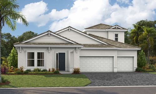 New construction Single-Family house 9231 Isabella Circle, Parrish, FL 34219 - photo 1 1