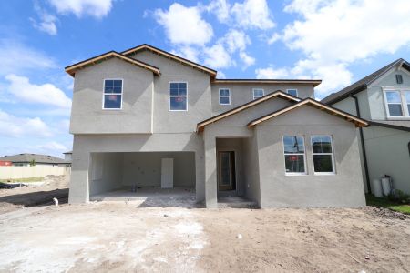 New construction Single-Family house 9358 Crescent Ray Drive, Wesley Chapel, FL 33545 Renau- photo 47 47