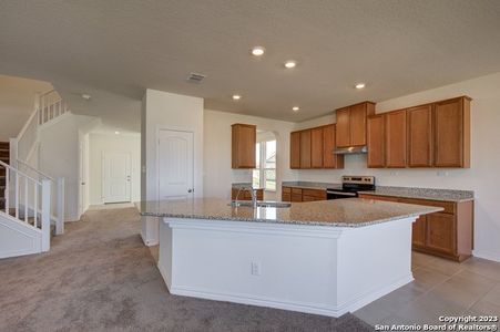 New construction Single-Family house 29932 Chaumet, Bulverde, TX 78163 - photo 15 15