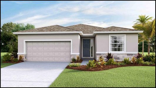 New construction Single-Family house 371 Mangrove Manor Drive, Apollo Beach, FL 33572 - photo 0