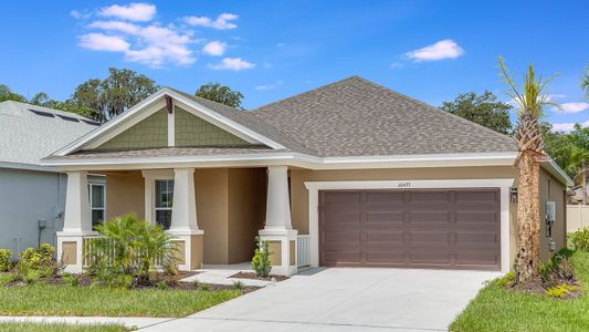 New construction Single-Family house 3402 James L Redman Parkway, Plant City, FL 33565 - photo 16 16