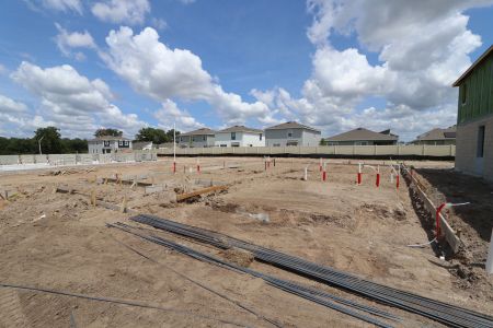 New construction Single-Family house 31809 Sapna Chime Drive, Wesley Chapel, FL 33545 Salinas- photo 5 5