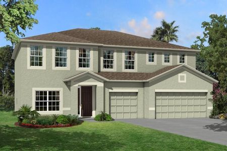 New construction Single-Family house Santina II, 10805 Rolling Moss Road, Tampa, FL 33647 - photo