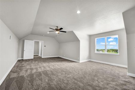 New construction Single-Family house 1036 Bluebonnet Ridge, Weatherford, TX 76087 - photo 28 28