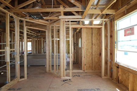 New construction Single-Family house 31835 Sapna Chime Drive, Wesley Chapel, FL 33545 Salinas- photo 32 32