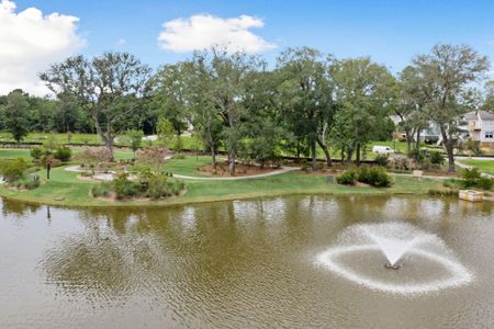 New construction Single-Family house 1684 Farmers Way, Unit 440, Mount Pleasant, SC 29466 - photo 64 64