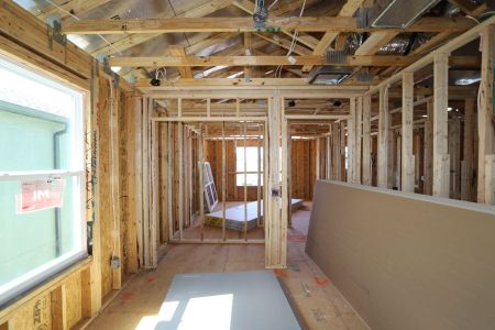 New construction Single-Family house 2852 Misty Marble Drive, Zephyrhills, FL 33540 Castellana- photo 52 52
