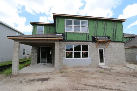 New construction Single-Family house 9635 Crescent Ray Drive, Wesley Chapel, FL 33545 Mira Lago- photo 45 45