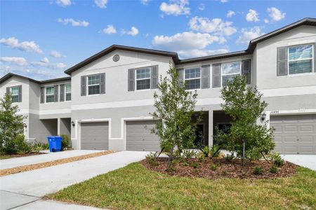 New construction Townhouse house 10444 Shady Preserve Drive, Riverview, FL 33578 - photo 25 25