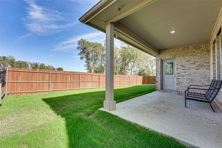New construction Single-Family house 3732 Walnut Ridge Drive, Grand Prairie, TX 76050 - photo 29 29