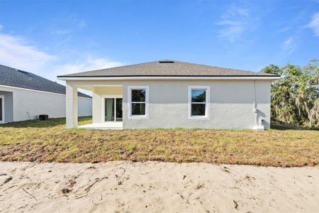 New construction Single-Family house 3871 Phillips Road, Lake Wales, FL 33898 - photo 25 25