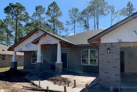 New construction Single-Family house 36 Slumber Path, Palm Coast, FL 32164 2265- photo