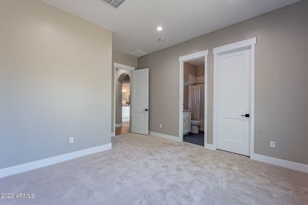 New construction Single-Family house 3265 S Coffeeberry Court, Gold Canyon, AZ 85118 - photo 47 47